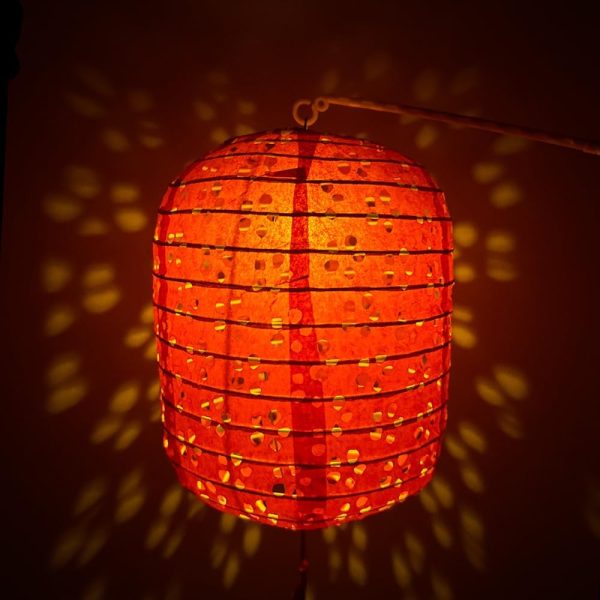 12Pcs Chinese Paper Lanterns with LED Lights, Hollow Out Hanging Asia Japanese Paper Lamps with Tassels Walking Sticks 8 In Lantern for Chinese New Year Lanterns Decorations(oval-shaped) - Image 7